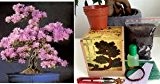 Komplette Bonsai Anzuchtset - Saatausstattung zum pflanzen eines Judasbaum Bonsais -Samen / Pflanzentöpfe / Erde / Draht / Anleitung/4 Blätter ...