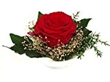 Konservierte Rose in Rot - Blumen-Gesteck aus einer haltbaren Rose enthält eine ECHTE PREMIUM Rose - unser EXKLUSIVES Blumen-arrangement wird ...