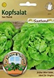 Kopfsalat Tom Thumb Saatband für Balkon & Terrasse früher Mini Salat ideal für Singles 43015 Salat