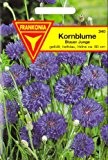 Kornblume, Blauer Junge, Centaurea cyanus pl., ca. 100 Samen