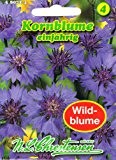 Kornblume Centaurea cyanus Wildblumen