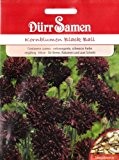 Kornblumen, Black Ball, Centaurea cyanus, ca. 100 Samen
