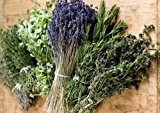 Kräuter der Provence Mischung - 200 Samen