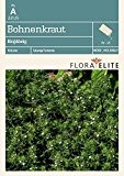 Kräutersamen - Bohnenkraut Einjährig von Flora Elite