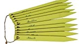 Kräuterschilder / Kräuterstecker / Steckschilder Kräuter - 10er Set - Länge 17cm - grün mit Aufschrift