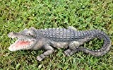 Krokodil Figur 36 cm Garten Gartenfigur Alligatoren Kaiman
