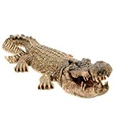 Krokodil Reptil 77cm