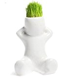 Kungfull Mall Mini Weiß Gras Puppe Haare Männer Garden Pflanzen Ceramic Bonsai Schalen