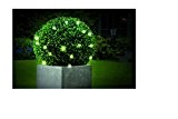künstlicher Buchsbaum Buchsbaumkugel künstlicher mit LED Beleuchtung und verzinkter rostfreier Kette zum Aufhängen - mit strahlender wamrweißer LED Beleuchtung in ...