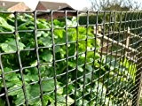 Kunststoff Gartenzaun 1 m x 25 m grün 25 mm 2,5 cm Klematis schwarz Netz Mesh - Ideal für Pflanzen, Haustiere, Schutz und Klettern pflanzlich Stütznetz
