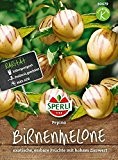Kürbissamen - Birnenmelonen Pepino von Sperli-Samen