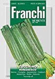 Kürbissamen - Zucchini Romanesco von Franchi Sementi