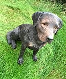 Labrador braun Hund sitzend Figur Gartenfigur 52cm