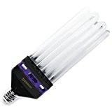 Lampe CFL 300 W für Wachstumsphase 6400â ° K