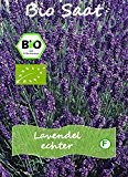 Lavendel echter 80 bio Samen