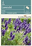 Lavendel Echter von Flora Elite