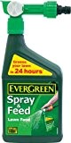 Lawn Feed EverGreen Spray & Feed Lawn Food 1L Greens Lawns in 24 hours! C: 100m2