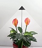 LED Wachstumslampe fürs Zimmer "graphit", 7 Watt Pflanzenleuchte Pflanzenlicht Licht für Pflanzen