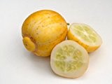 Lemon Gurke Zitronengurke Crystal Cucumber 10 Samen