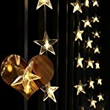 LEORX LED Sternenvorhang Vorhang 50 Warm-Weiße Wasserfeste LEDS für Drinnen und Draußen