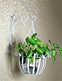 LHP Europäische Art-Eisen-Wand-hängende Blumentöpfe Regal für Innen-, Balkon-, Wand-hängende Orchideenkorb, Zahnstange High-End ( farbe : Weiß )