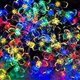 Lichterkette aus 100 mehrfarbigen solarbetriebenen LED Blüten-Lichtern von SPV Lights: Der Solarlicht- & Beleuchtungsspezialist (2 Jahre kostenlose Gewährleistung inklusive)