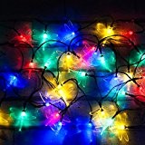 Lichterkette aus 100 mehrfarbigen solarbetriebenen LED Libellen-Lichtern von SPV Lights: Der Solarlicht- & Beleuchtungsspezialist (2 Jahre kostenlose Gewährleistung inklusive)