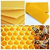 LM 30 Stück Honeycomb Foundation Beehive Wax Frames Bienenzucht Ausrüstung Bee Hive Kamm Honig Frames