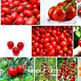 Loss Förderung! Kirschtomatensamen, rote Tomaten Cherry-Tomaten, die ursprüngliches Paket Gemüse Fruchtsamen, 30 Samen / Los, # 85EYCP