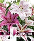 Lovely Combinations Orientalische Lilien Mischung 5 Stück
