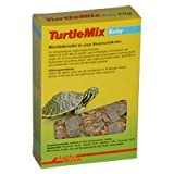 Lucky Reptile Herp Diner Turtle Mix Baby