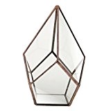 Luft Pflanzer Mini Glasterrarium Geometrisches Glas Sukkulente Pflanzgefäß Haus Dekoration 12x12x17cm - Kupfer