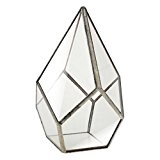 Luft Pflanzer Mini Glasterrarium Geometrisches Glas Sukkulente Pflanzgefäß Haus Dekoration 12x12x17cm - Silber