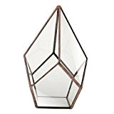 Luft Pflanzer Mini Glasterrarium Geometrisches Glas Sukkulente Pflanzgefäß Haus Dekoration 16x16x25cm - Kupfer