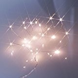 Lychee 7ft 2m 20LED Kupferdraht Lichterkette Wasserdichte für Hochzeit Partys Innenraum und im Freien Weihnachten(Warmweiß)