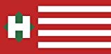 magFlags Flagge: Large Pax Hungarica Movement variant | A variant of the flag of the Pax Hungarica Movement | A ...