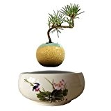 Magnetic Levitation Air Bonsai Floating Pflanze Töpfe Best Geschenke für Frauen