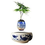 magnetisch Schwebender Floating Bonsai Air Pflanze Keramik Bonsaischale Baum Geburtstag Geschenk für Herren