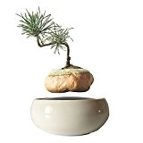 Magnetische Levitating Air Bonsai Floating Blumentopf Keramik Bonsai Baum Geburtstag Geschenk für Herren