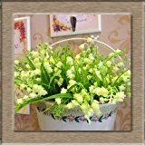 Maiglöckchen Blumensamen, Glocke Orchidee Samen, reiches Aroma, Bonsai-Blumensamen, bunte Orchideen-20 Samen
