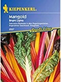 Mangold Bright Lights bunt