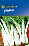 Mangold: Lucullus, Beta vulgaris var. vulgaris - 1 Portion