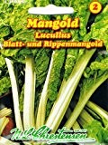 Mangold Lukullus (Portion)
