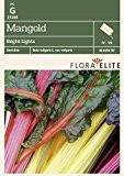 Mangoldsamen - Mangold Bright Lights von Flora Elite