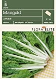 Mangoldsamen - Mangold Lucullus von Flora Elite