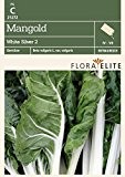 Mangoldsamen - Mangold White Silver 2 von Flora Elite