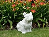 Massive Stein Bulldogge Bully Hund Gartendeko Raumdeko aus Steinguss frostfest