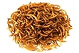 Mehlwürmer getrocknet 1,0 kg netto - ideal als z. B. Vogelfutter oder Hühnerfutter - Proteinfutter in Spitzenqualität zum kleinen Preis!