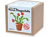 Meine eigene Venus Fliegenfalle Anzuchtsets, Dionaea Muscipula kit