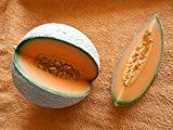 Melone Cantaloupe 10 Samen (Selten) Sehr Süß